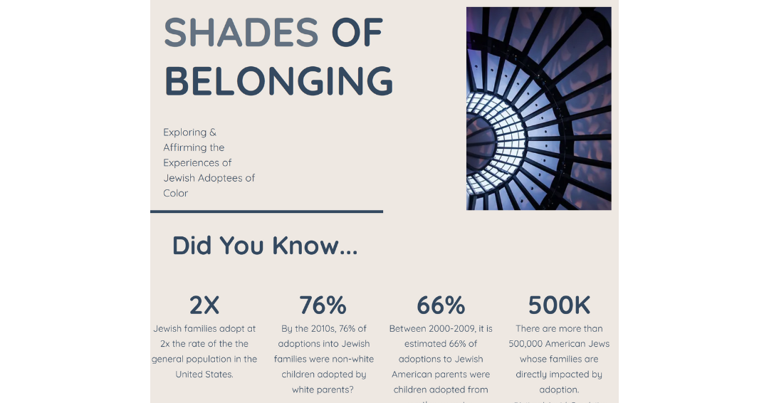 Shades of Belonging (website preview)
